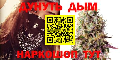 крисы Рязань