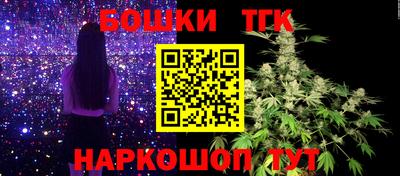 МДПВ Рыбинск