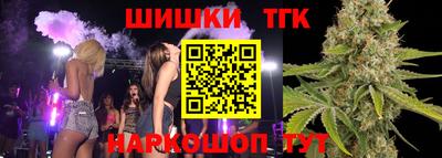 МДПВ Рыбинск