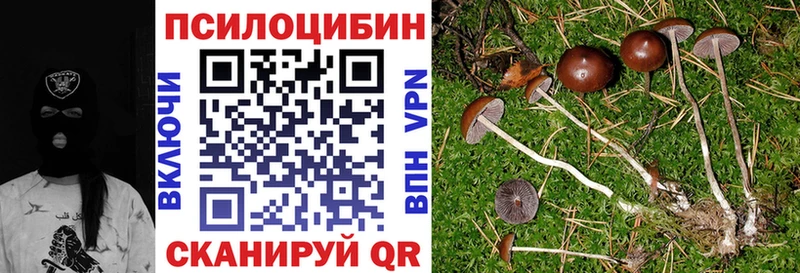 гидра зеркало  Тара  Псилоцибиновые грибы Psilocybe 