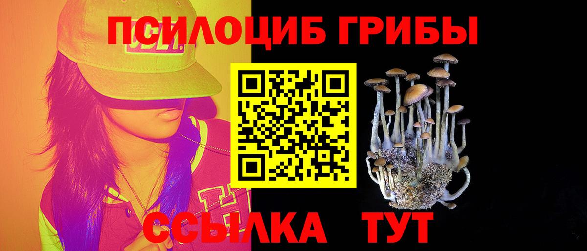 Тара  Псилоцибиновые грибы прущие грибы  Вход с VPN  Псилоцибиновые грибы GOLDEN TEACHER 